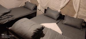 瑞诗凯诗The Jungle Mist Resort的帐篷内的两张单人床和枕头