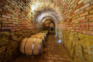 沙托夫普里瓦波希米亚酒店的砖砌隧道里的一排桶