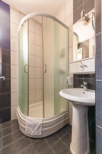 贝尔格莱德Hotel Villa Sarto的带淋浴和盥洗盆的浴室