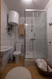 沃姆扎Janówka的带淋浴、卫生间和盥洗盆的浴室