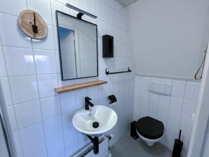 卡茨休维尔Hotel de Slapende Hollander的一间带水槽和卫生间的浴室