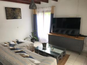 珀蒂蒂勒Villa Longani Passion pour des vacances bucoliques en famille的客厅配有2张沙发和1台平面电视
