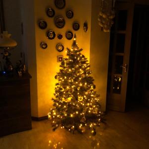 埃里温欣埃里温希酒店的客厅里一棵圣诞树,有灯