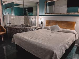 格拉诺列尔斯H酒店 的一间卧室配有一张床和浴缸