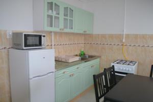 尼赖吉哈佐Sweet Dreams Apartman的厨房配有白色冰箱和微波炉
