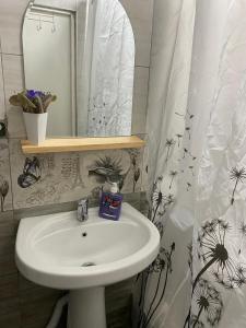 BjniSargsyans guest hause的浴室设有水槽、镜子和浴帘
