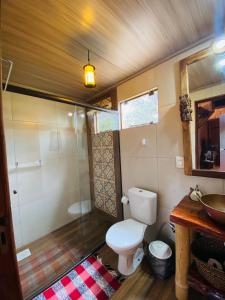 戈亚斯州上帕莱索Casa Lobo-guará的浴室配有卫生间、淋浴和盥洗盆。