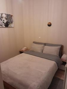 普里什蒂纳Gray Apartament 2 Pristina的小型客房内的一张床位。