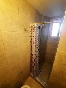 门多萨Departamento en Mendoza Capitál的带淋浴、卫生间和窗户的浴室