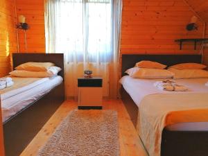CălăţelePensiunea Anda的一间卧室设有两张床、一个窗户和一个地毯。