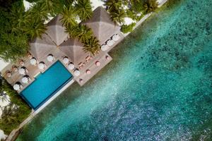 南马累环礁Anantara Veli Maldives Resort - Special Offer On Transfer Rates For Summer 2024的享有带游泳池和遮阳伞的度假村的空中景致
