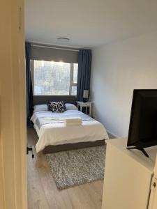 伦敦Self-catering fully equipped apartment in Vauxhall的一间卧室配有一张带窗户的床和一台电视