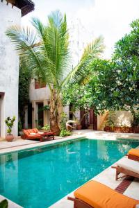 拉穆LAMU HOUSE的棕榈树庭院内的游泳池
