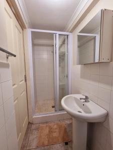 东伦敦Private Guest Suite with 24hr Electricity, East London的一间带水槽和淋浴的浴室