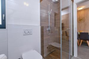 木洛希尼House Torre Apartments的带淋浴的浴室和玻璃门