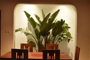 塔那那利佛Villa paisible proche des rizières的餐桌,两把椅子,植物