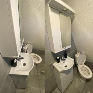 ŠljivovicaThe Tara Concept的一间带水槽、卫生间和镜子的浴室