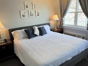 迪格比归来住宿加早餐旅馆的一间卧室配有一张带蓝色枕头的床和一扇窗户。