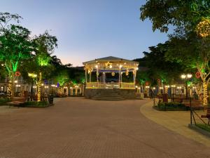圣路易斯-杜帕赖廷加Pousada Primavera的公园里晚上有灯的亭子