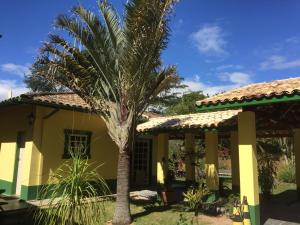 圣路易斯-杜帕赖廷加Pousada Primavera的黄色房子前面的棕榈树