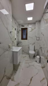 班斯科Guest House Gogemi的大理石浴室设有卫生间和水槽