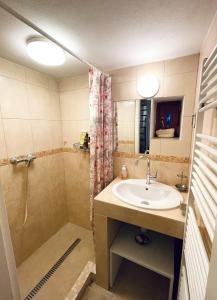 多纳瓦利多姆塞克惊奇钟声旅馆的一间带水槽和淋浴的浴室