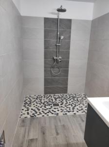 莱昂斯-达赫雷Villa NoAmy的一间铺有瓷砖地板的带淋浴的浴室