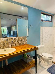 圣克鲁斯Beautiful 2-bedroom home OR Studio Apartment OPTION in Santa Cruz的一间带水槽、卫生间和镜子的浴室