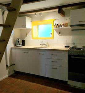 温特斯韦克Klein Ni'jenhoes的厨房设有水槽和窗户。