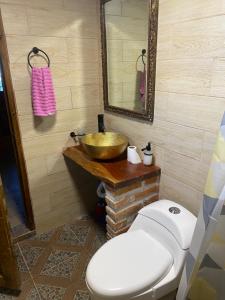 PeroteCabañas Agua del Oyamel的一间带卫生间和金色水槽的浴室