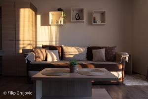 科帕奥尼克Apartment G6的带沙发和咖啡桌的客厅