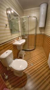 斯莫梁Апартамент Горска приказка - Forest tale的浴室配有卫生间、盥洗盆和淋浴。