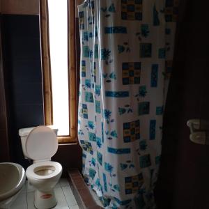 巴尼奥斯CASA JUANA DE ORO的一间带卫生间和淋浴帘的浴室