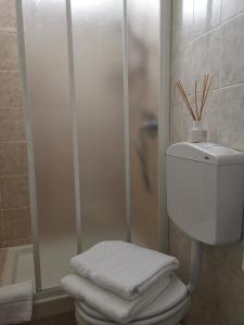 克雷莫纳AT HOME IN CREMONA的带淋浴、卫生间和毛巾的浴室