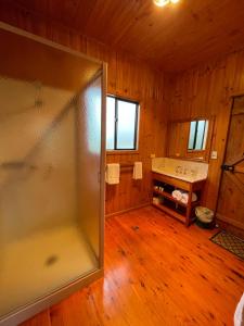BarmoyaHedlow Retreat的带淋浴和盥洗盆的浴室