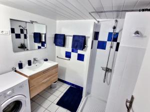 布格奈斯Superbe Type 2 - Cosy et Chaleureux的一间带水槽和淋浴的浴室