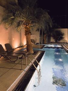 布赖代شاليه بالم ون الفندقي的一个带椅子的游泳池,并种植了棕榈树