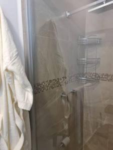 墨西哥城Se renta por día departamento en el Centro的浴室里设有玻璃门淋浴