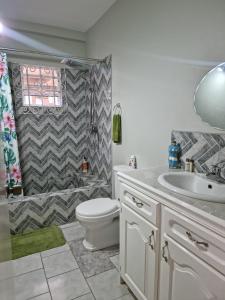 苏弗里耶尔Coco Rose Apartments的浴室配有卫生间、盥洗盆和淋浴。