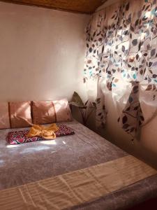 爱妮岛SHALOM CAMP的一间卧室配有一张床铺,床上有毯子