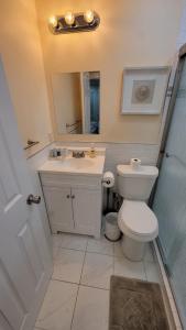 希尔顿黑德岛HHI Homes LLC的一间带卫生间、水槽和镜子的浴室