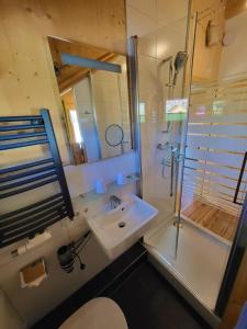 穆劳Kreischberg Chalet in Murau的一间带水槽、淋浴和卫生间的浴室