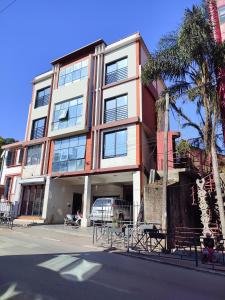 塔那那利佛Valiha Hotel Antananarivo的一条棕榈树街道边的建筑