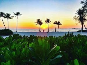 富国Kalia Hotel的棕榈树海滩上的日落