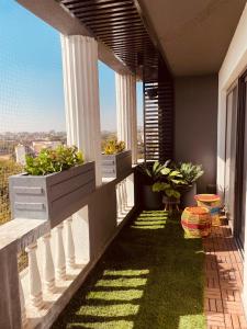 焦特布尔Woodlands Apartment- Fully furnished Luxury Apt的房屋内种植盆栽植物的阳台
