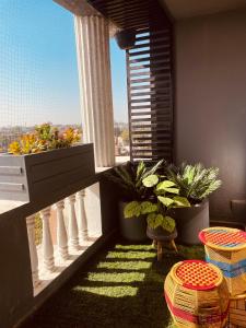 焦特布尔Woodlands Apartment- Fully furnished Luxury Apt的阳台种有盆栽植物,设有窗户。