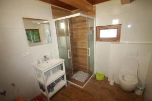 道尼库宾Chata Terasa Kubinska的带淋浴、盥洗盆和卫生间的浴室