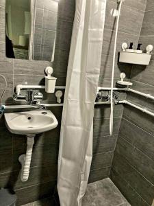 波扎雷瓦茨Apartman Djokic 4的一间带水槽和淋浴帘的浴室