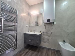 乌迪内Apartment Udine的一间带水槽、卫生间和镜子的浴室