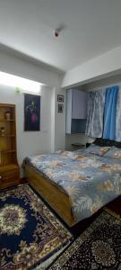 大吉岭Blue Valley Apartment的一间卧室配有一张大床和地毯。